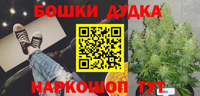 mdma Сланцы