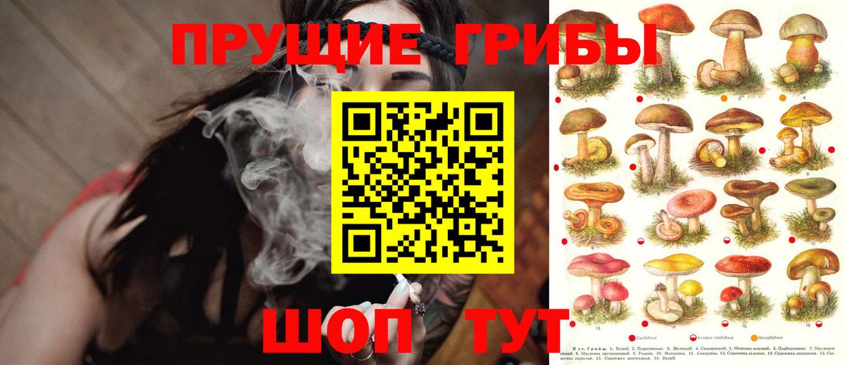 Белорецк  Галлюциногенные грибы прущие грибы  Псилоцибиновые грибы Psilocybine cubensis  Вход с VPN 