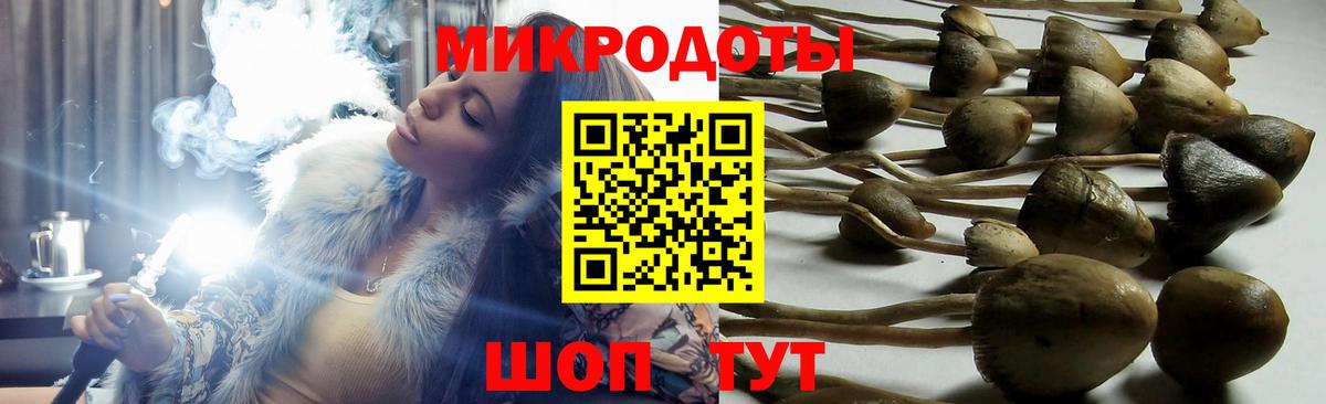 Псилоцибиновые грибы ЛСД Белорецк
